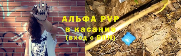 jwh Белокуриха